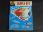 HUMAN EYE