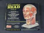 THE VISIBLE HEAD
