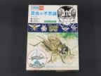 昆虫の不思議