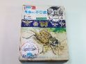 昆虫の不思議