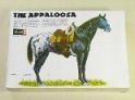 THE APPALOOSA