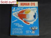 HUMAN EYE