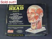 THE VISIBLE HEAD