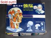 偉大なる頭脳（組バラシ）