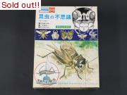 昆虫の不思議