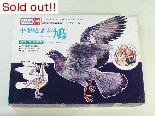 平和をよぶ鳩