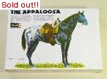 THE APPALOOSA